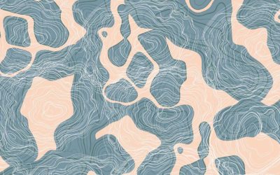 Comment j’ai allié coaching collectif et coaching individuel pour accompagner les organisations