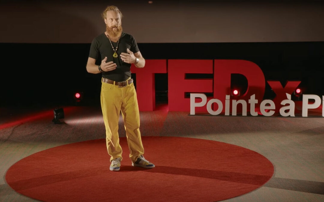 *Comment l’Holacratie dépasse le paradoxe du pouvoir ? Aliocha Iordanoff au TEDx Pointe à Pitre