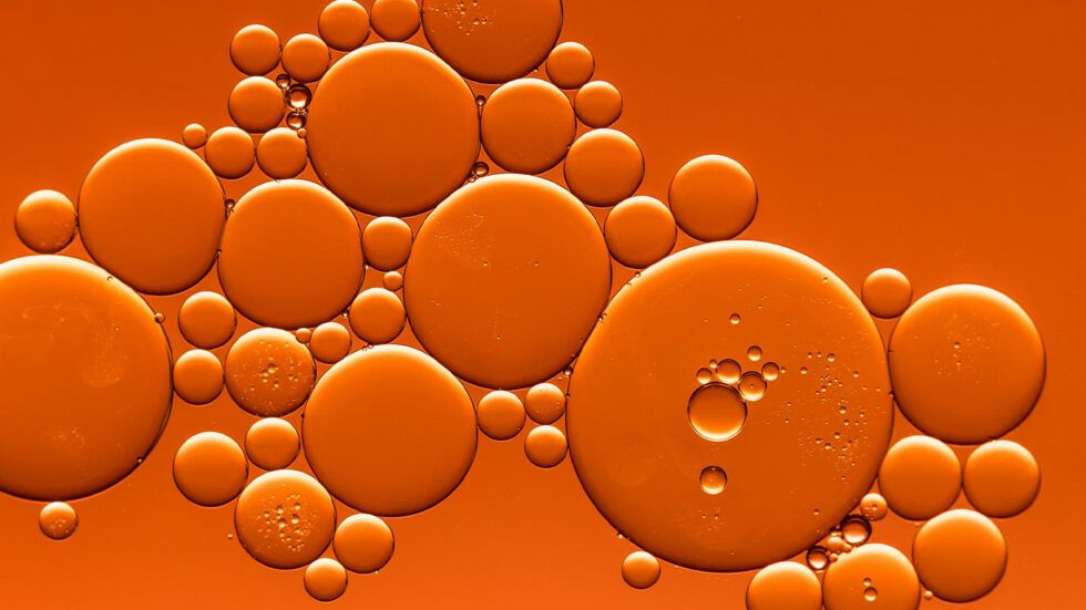 Ce que la recherche scientifique révèle sur l’Holacratie : Des entreprises plus agiles et innovantes