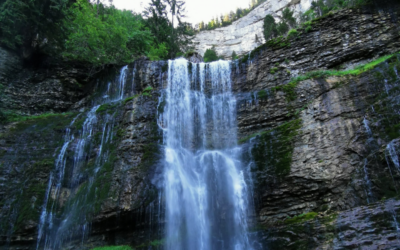 *Leadership vivant et hiérarchie naturelle : comprendre le rôle de la Source