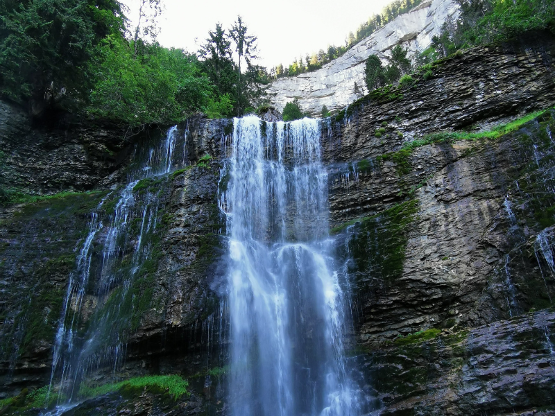 *Leadership vivant et hiérarchie naturelle : comprendre le rôle de la Source
