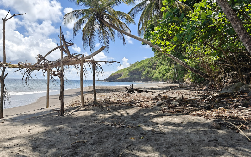 *L’art de naviguer dans le doute quand on est à la Source