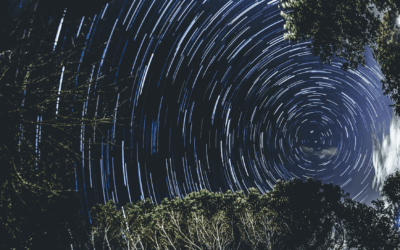 *Et si on rendait les entretiens 360° vraiment utiles ?