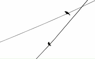 *Comment concilier les statuts des personnes et les rôles ?