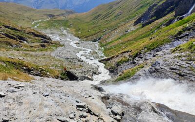 *Nos expériences pour intégrer personnes Source et gouvernance en Holacracy