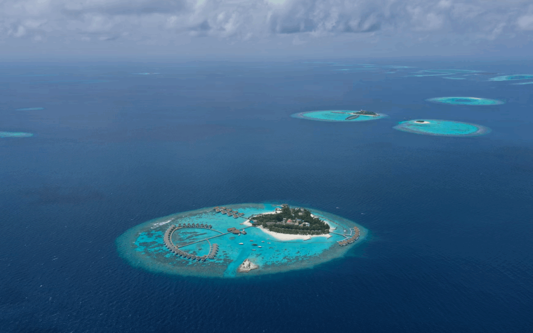 *Ilots de pratique : mettre en place l’Holacratie dans une partie seulement de l’organisation, pourquoi c’est simple, pourquoi ça marche ?