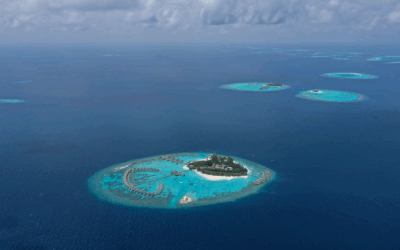 *Ilots de pratique : mettre en place l’Holacratie dans une partie seulement de l’organisation, pourquoi c’est simple, pourquoi ça marche ?