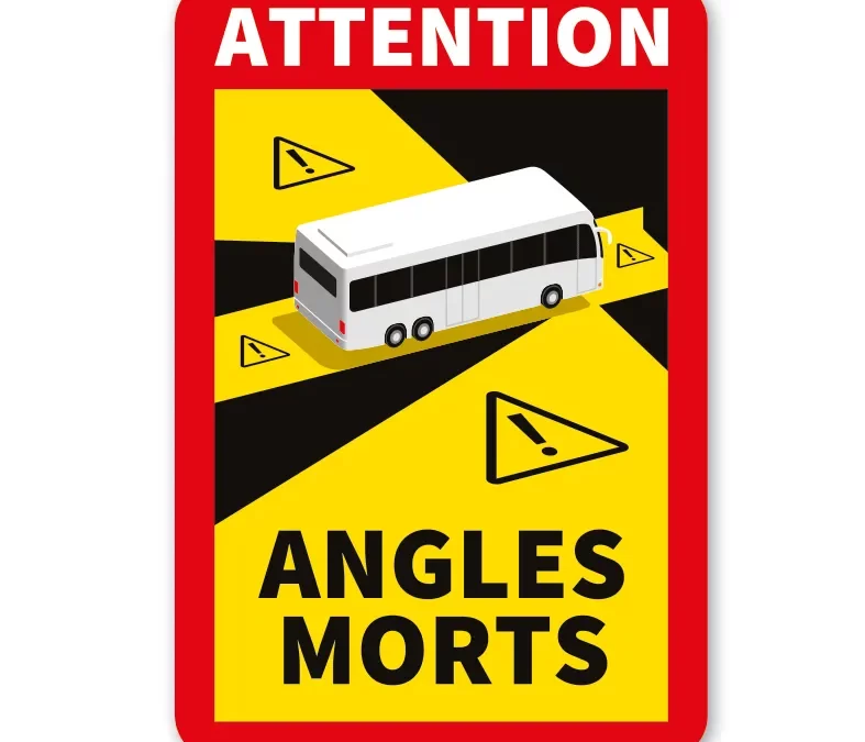 L’Holacratie a-t-elle des angles morts ?