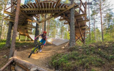 3 ans après : comment l’Holacratie a transformé BikeSolutions